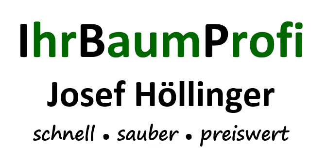 Ihr Baumprofi Erding - Baumpflege Baumfällung